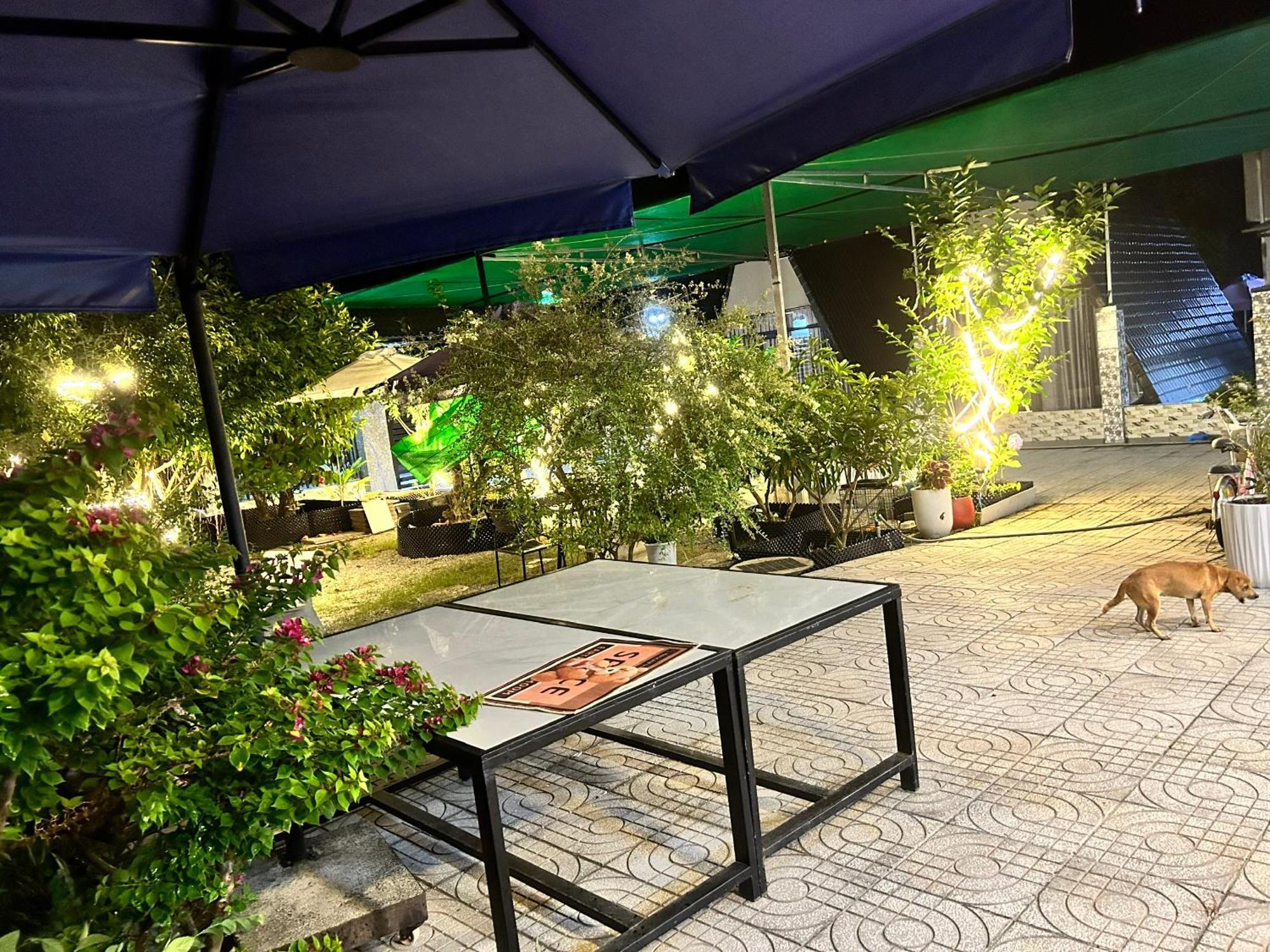 Homestay A Au Family Binh Chau Exterior photo